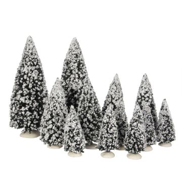 Tree Evergreen Assorted 12 pieces